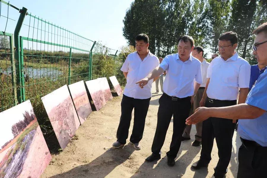 易县财政局最新发展规划，构建现代化财政体系，助力县域经济高质量发展