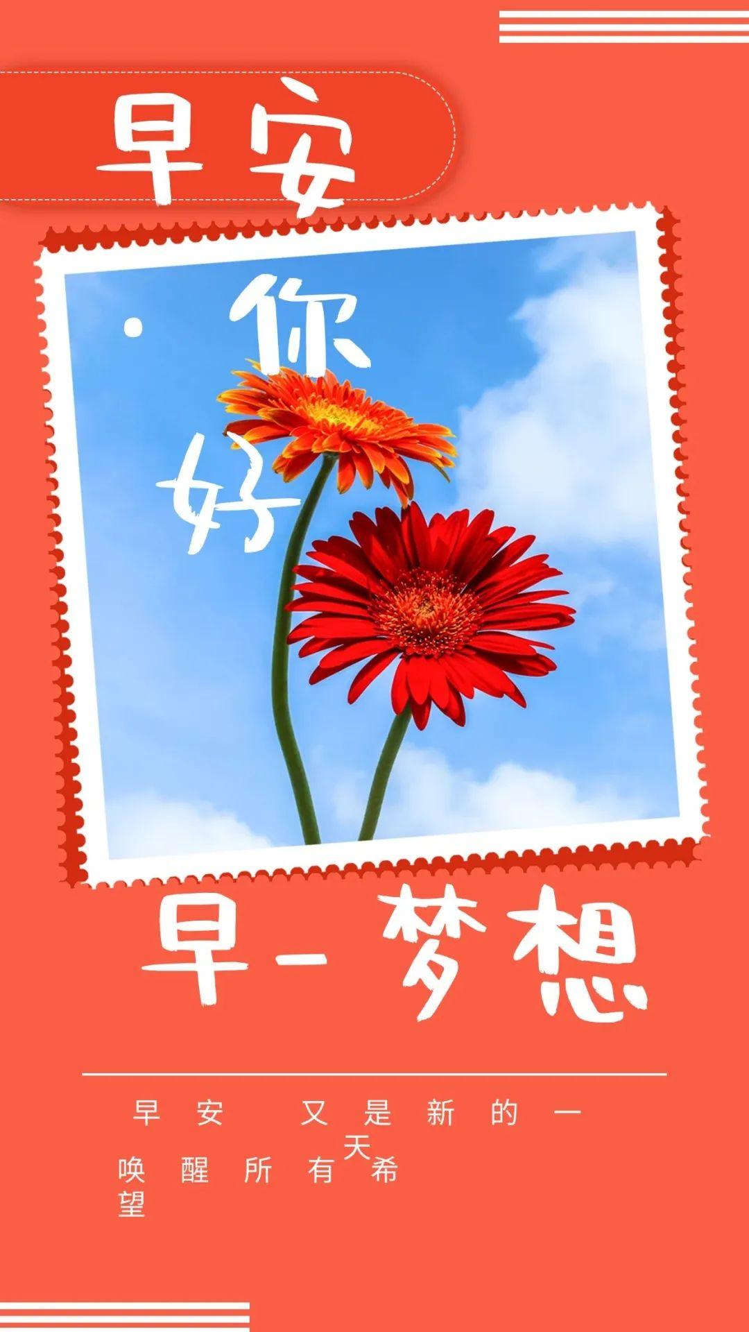 向阳而生的最新作品，探索生命光芒与艺术力量