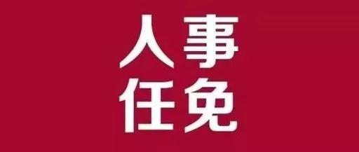站前区审计局人事任命重塑未来审计新篇章