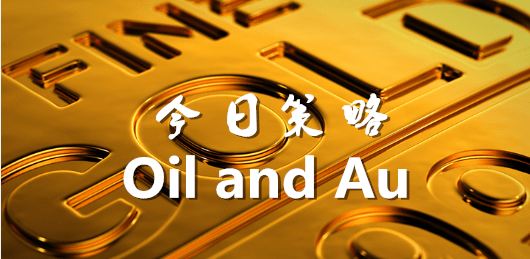 美黄金最新操作建议，把握市场趋势，精准决策指南