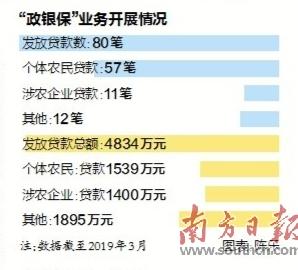 英德市统计局发展规划揭秘，引领数据驱动决策新时代，探索未来新篇章