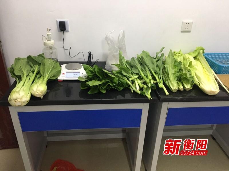 衡阳市粮食局发展规划，筑牢粮食安全基石，推动产业高质量发展之路