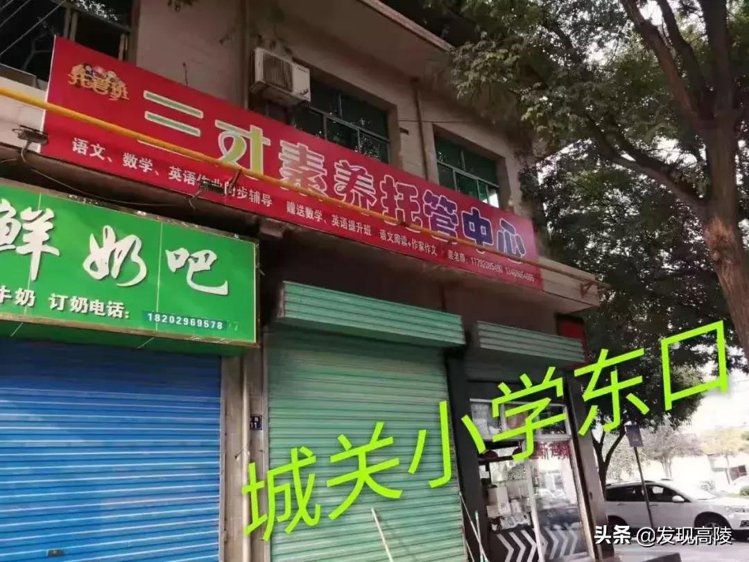 高陵县交通运输局最新招聘信息概览，职位、要求与申请指南