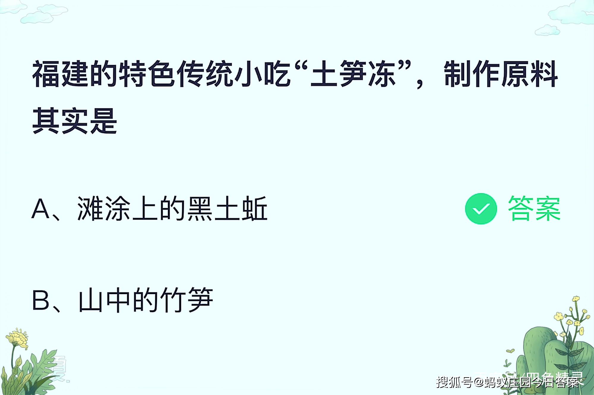 蚂蚁最新庄园答案揭秘，智慧与力量的完美结合之旅